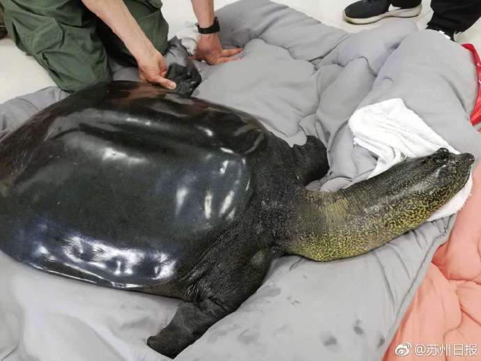 文化艺术融媒体专栏《合肥文艺》开播