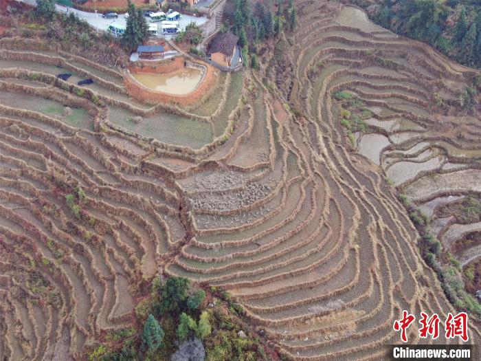 又硬又粗进去好爽A片看