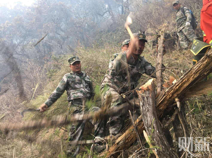 黄色网文在线观看
