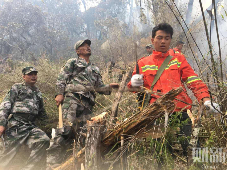 樊振东深夜发视频并配文：感谢大家的支持，恳请球迷理解尊重