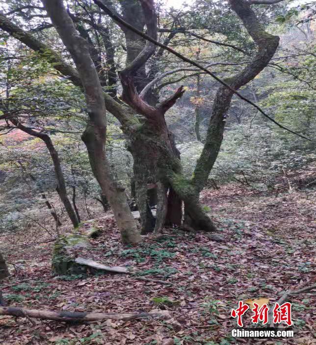 脱了内裤在阳台趴着被c动漫