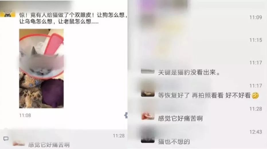 亚洲国产电影