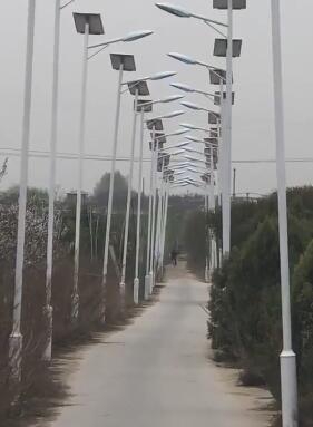 揭秘財富巔峰的終極路徑：為何「Find Cash88娛樂城總代」是你翻轉人生的關鍵？ 