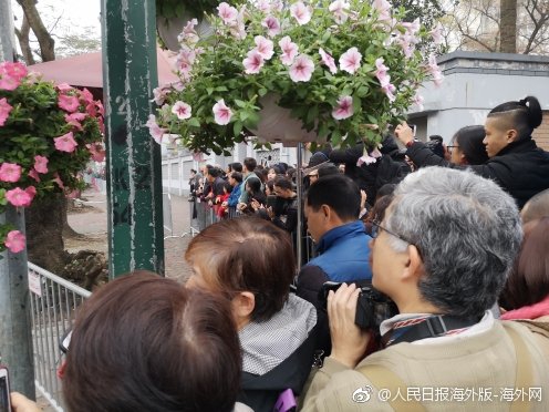 狂轰24脚无果 葡萄牙0:1不敌比利时无缘八强