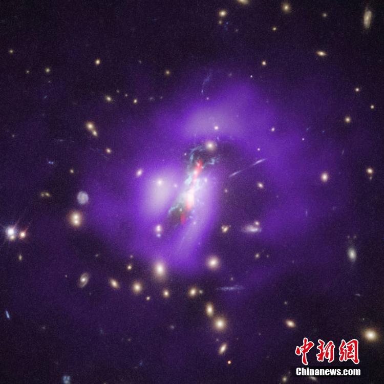 成人 电影 网站