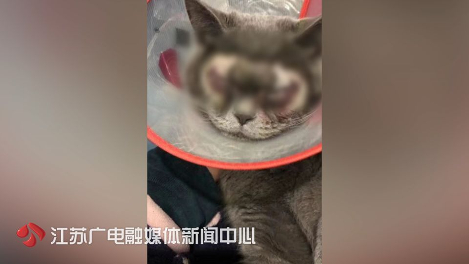 内蒙古自治区第二届冬运会在呼伦贝尔开幕