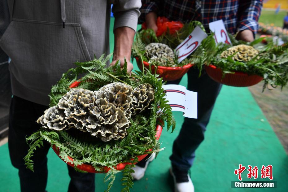 黄色网站视