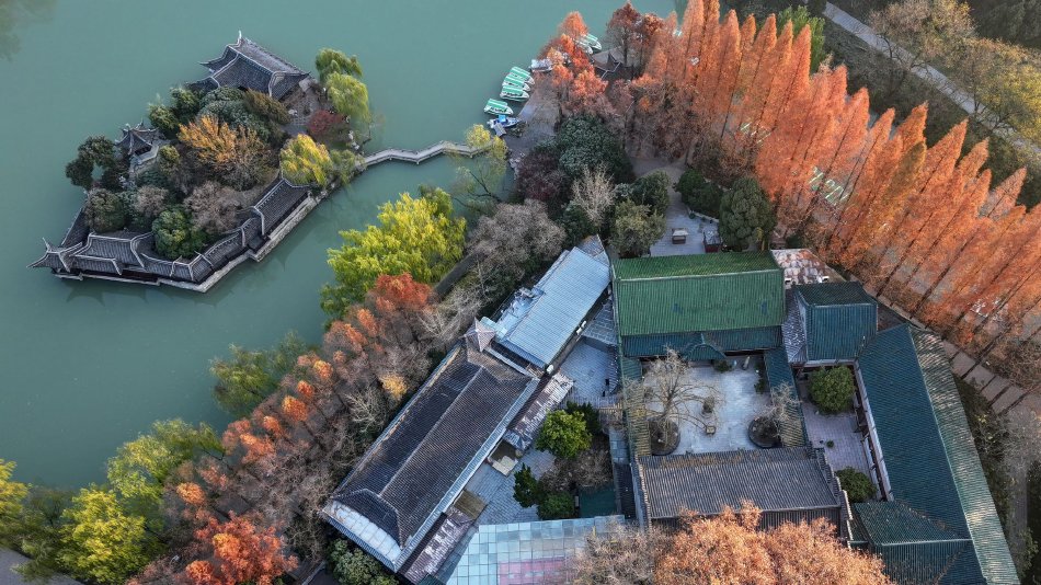 青青草原亚洲