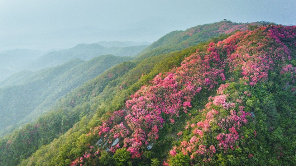 高清 H 动漫