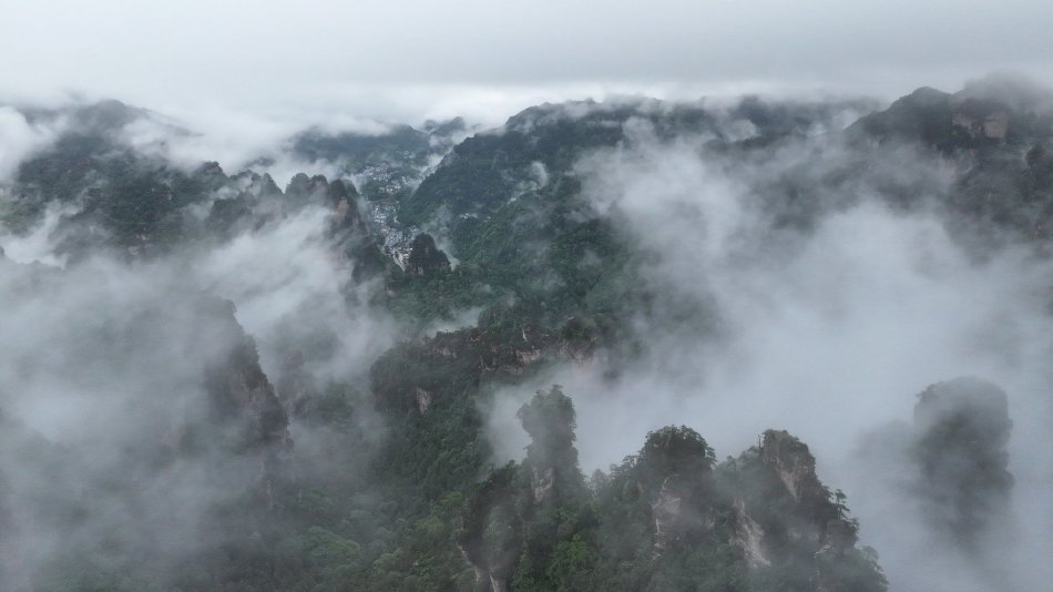 李伊