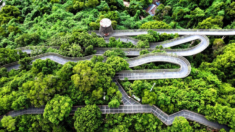 香港免费三级片