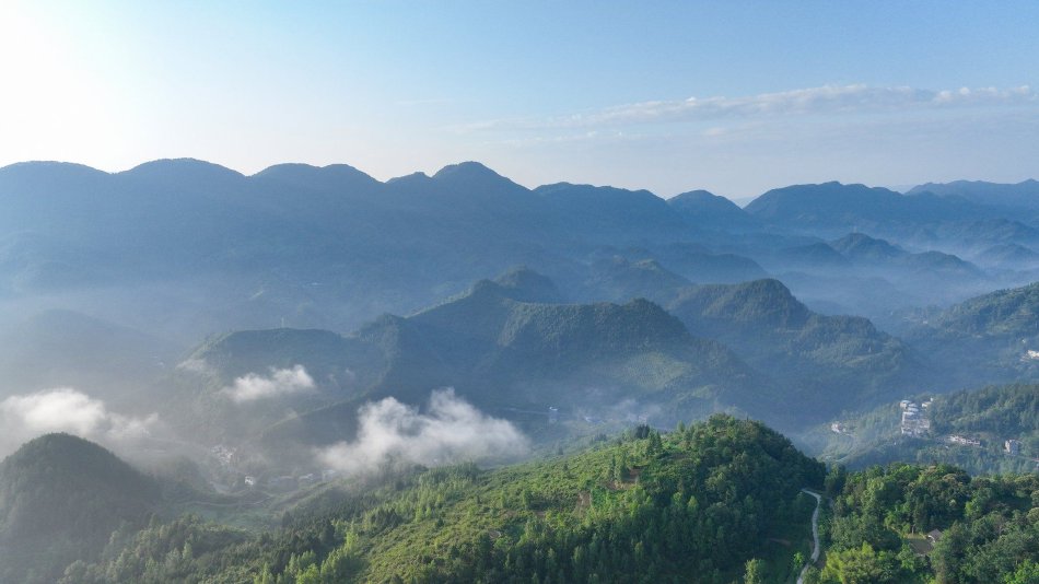 山井鈴