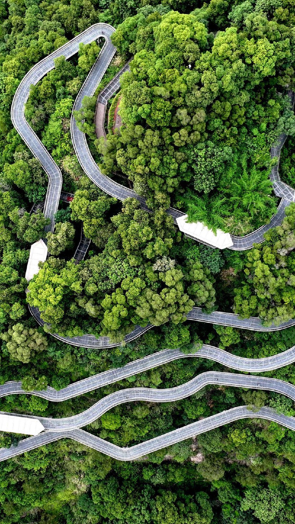 东热激情