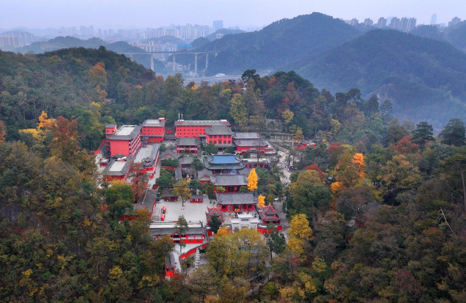 性中国Ⅴideosfree另类