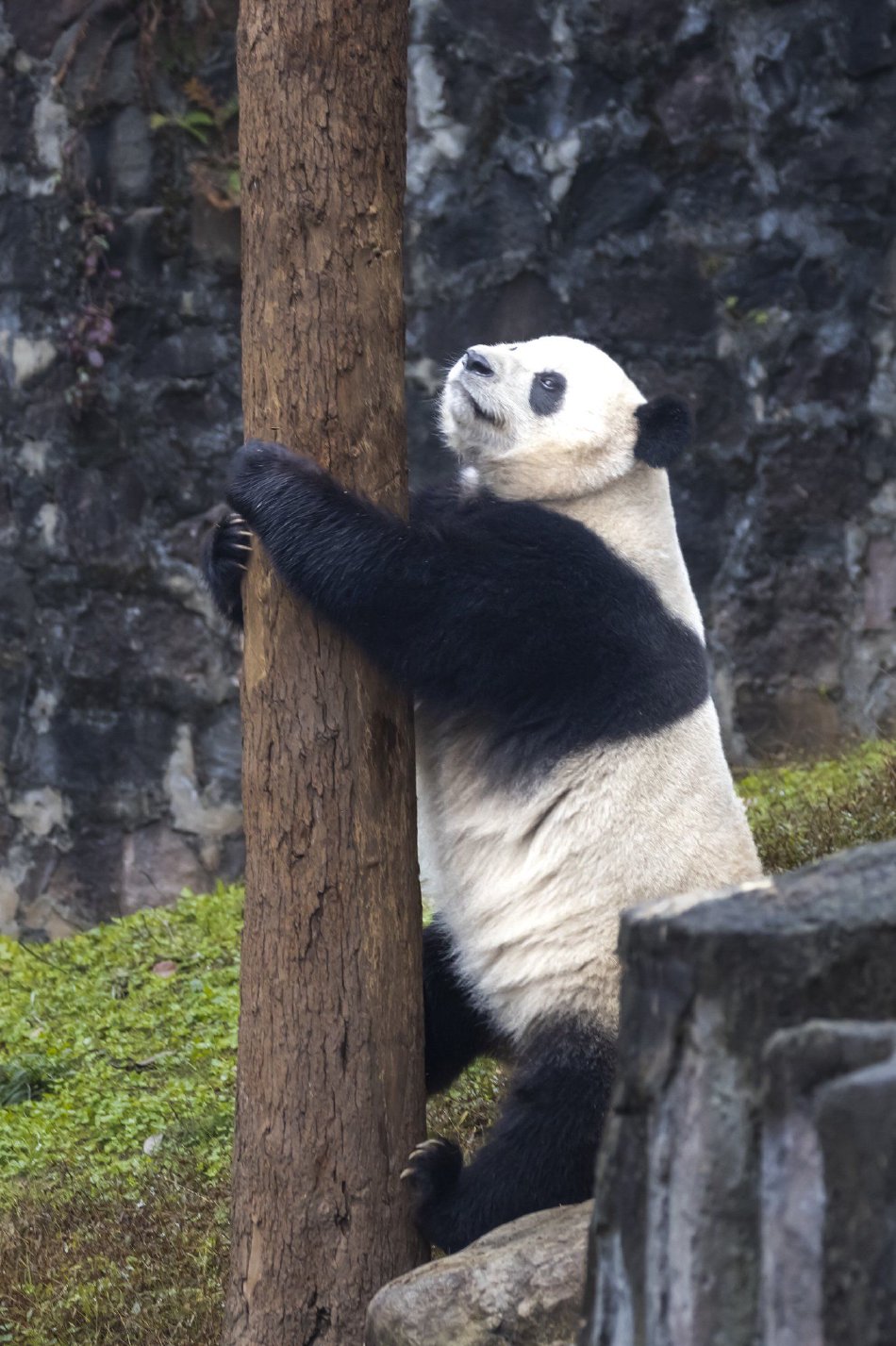 东京热下载