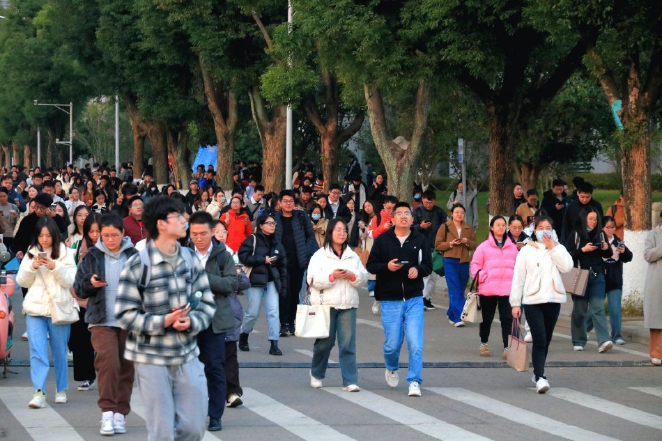 黄色网站不用下载