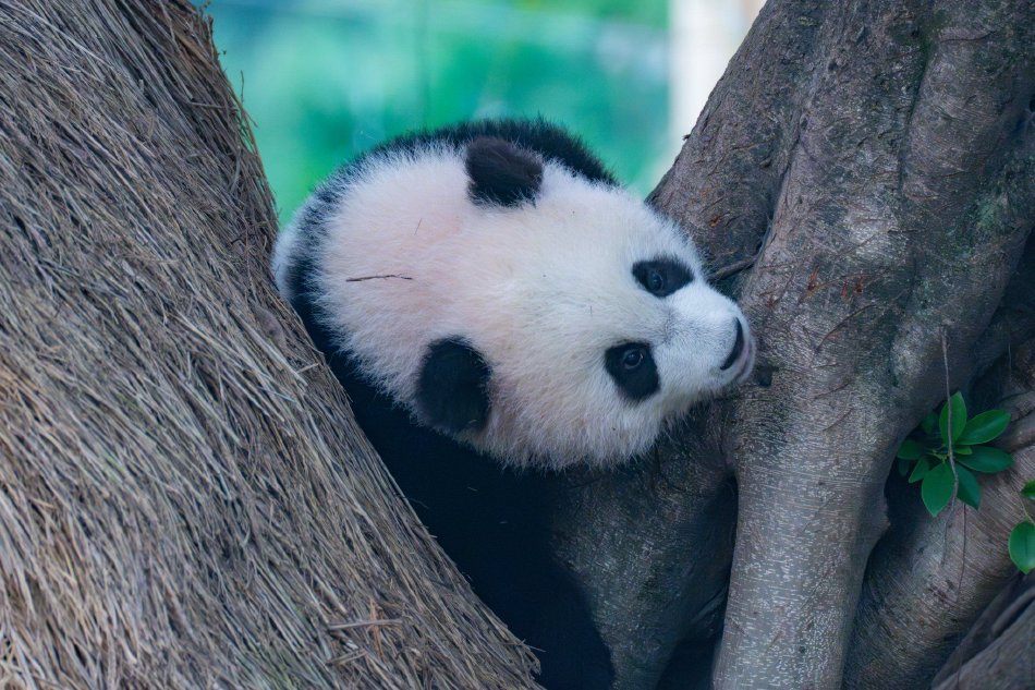 欧美午夜性爱