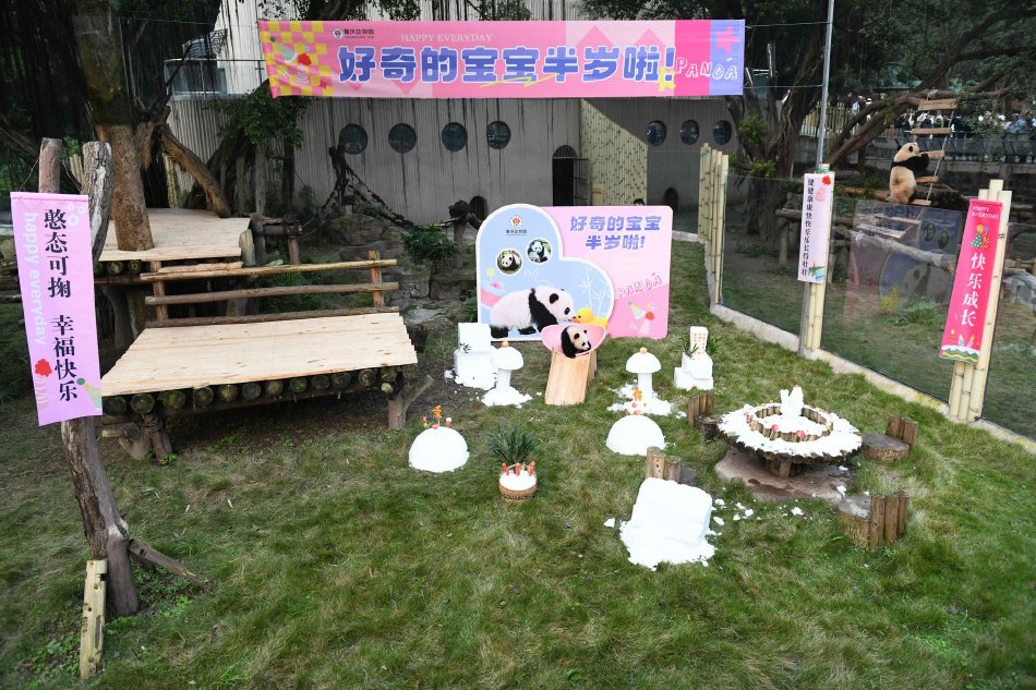熟妇无码