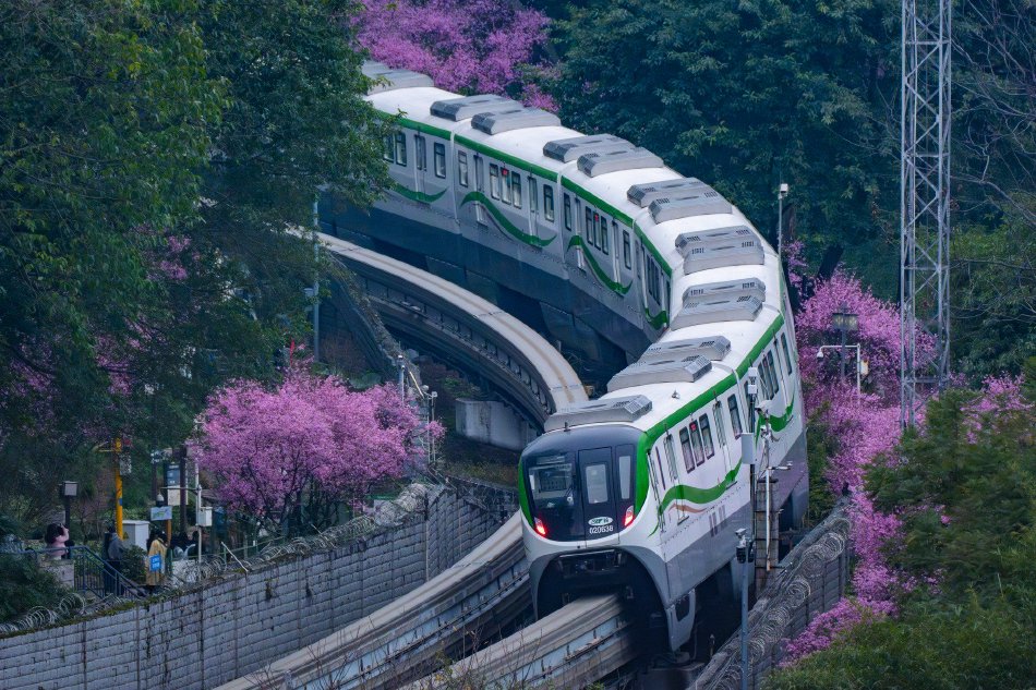 黄色永久免费看网站