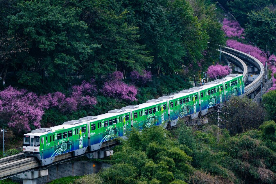 抖阴