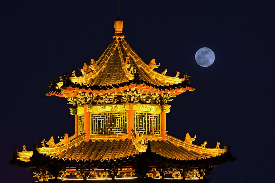 游泳教练在水里含我奶