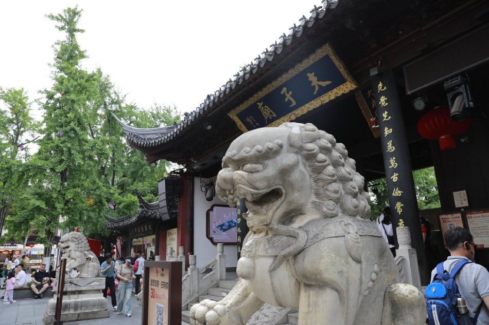董卿扒开屁股让男人桶