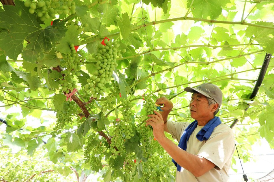 坐公交忘穿内裤被挺进
