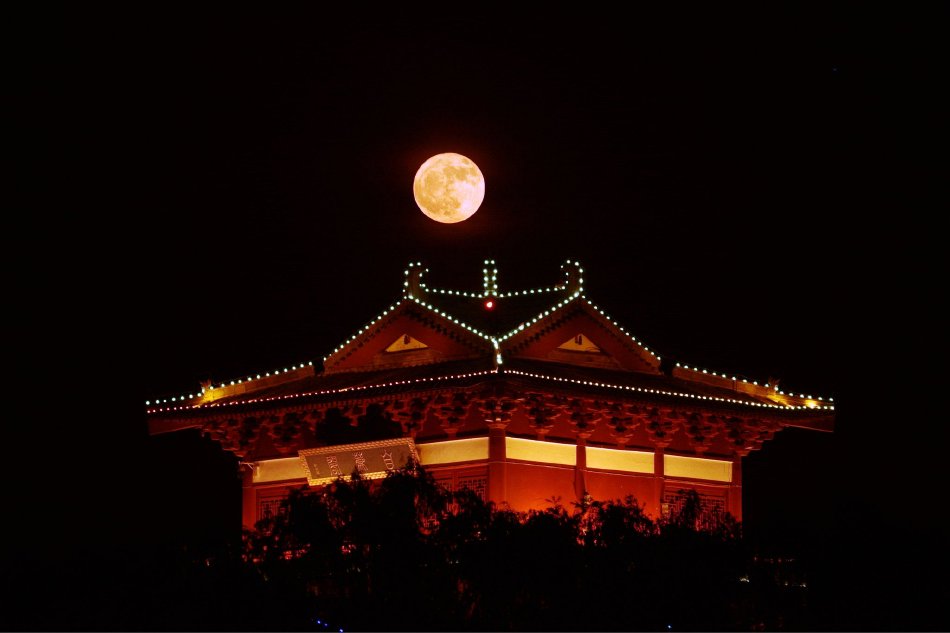 干屄软件