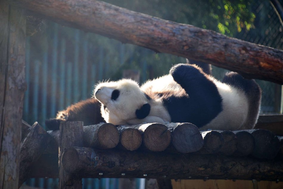 三上悠亚无码潮喷白浆