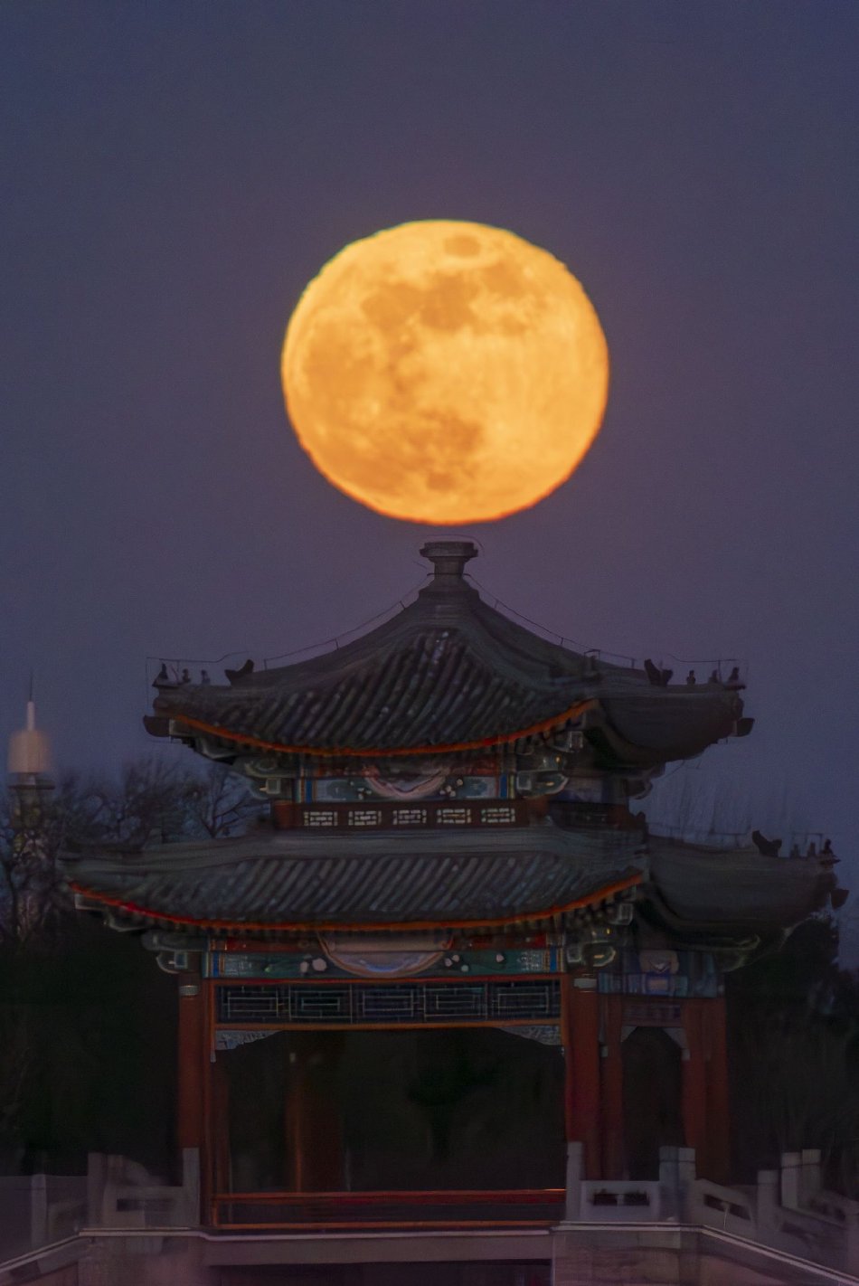 毛片区