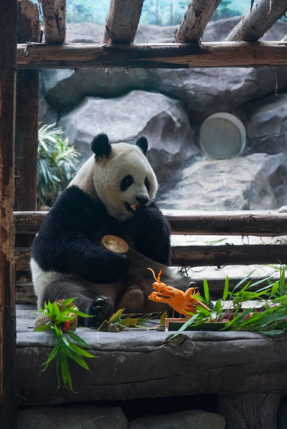 成人 性爱 网站