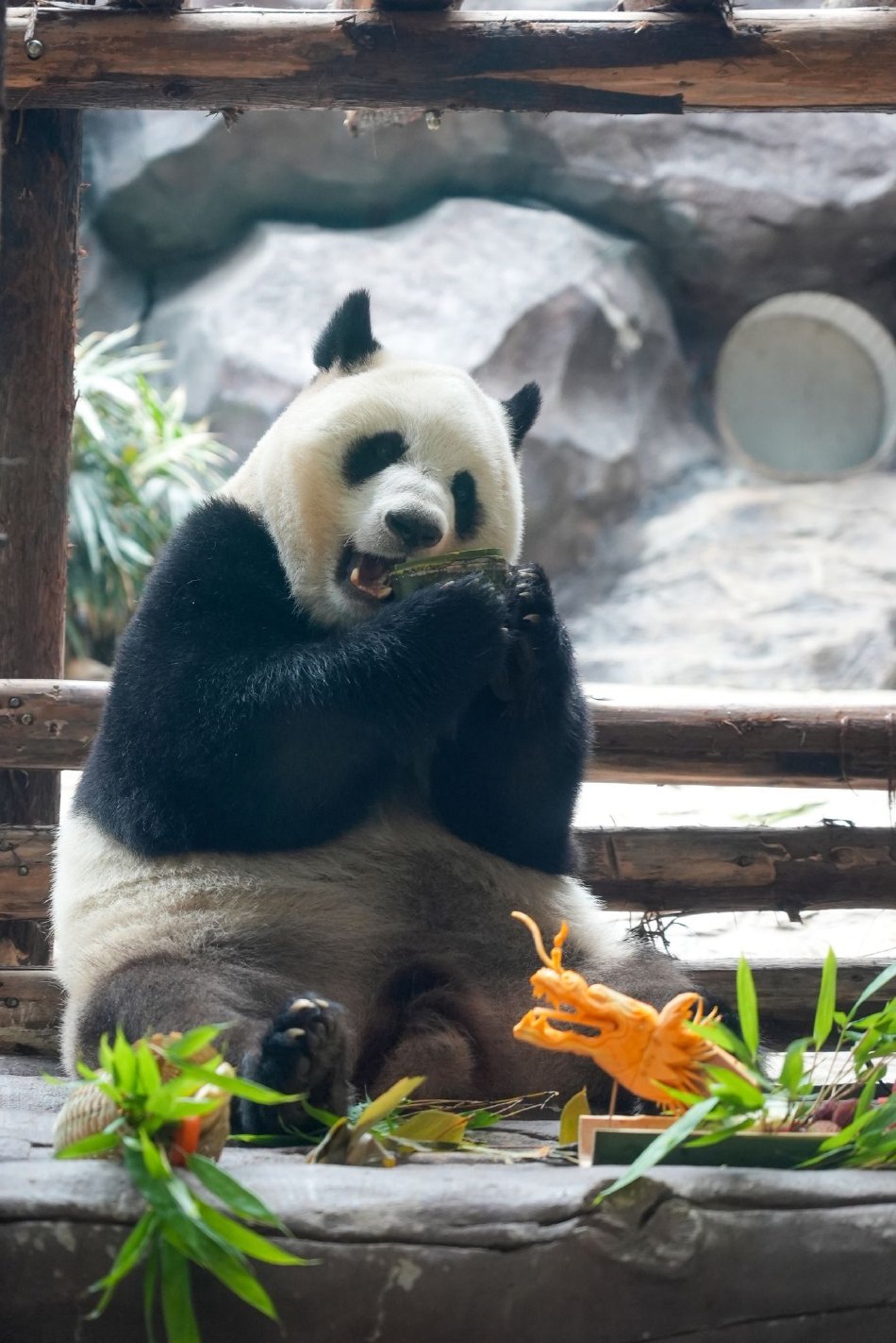 第一福利视频