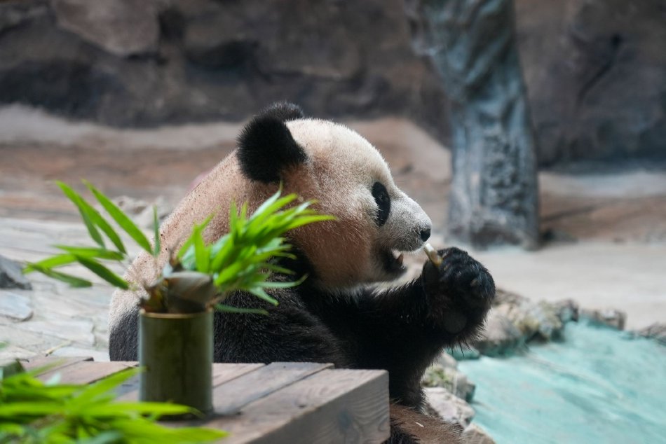 欧美激情影院