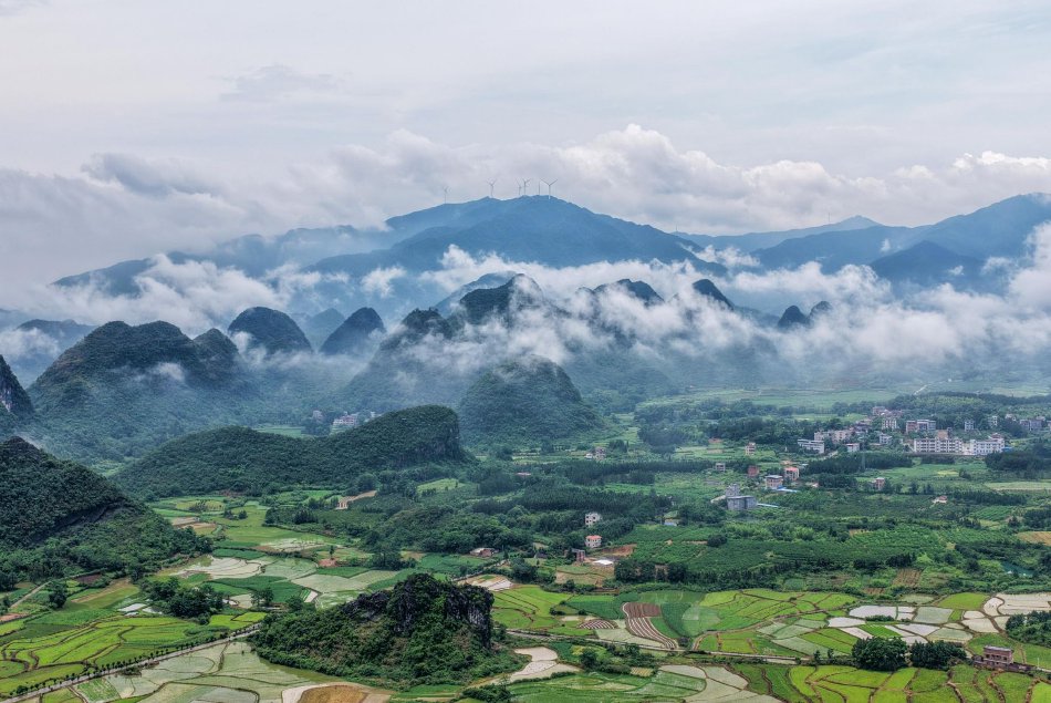 梦梦到粉丝家实战免费