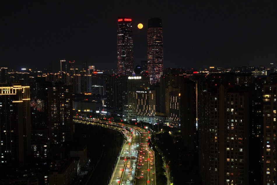 抓龍根