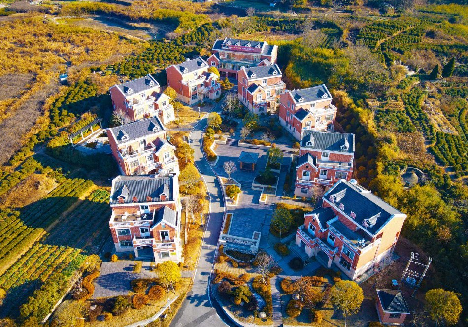 爱情岛