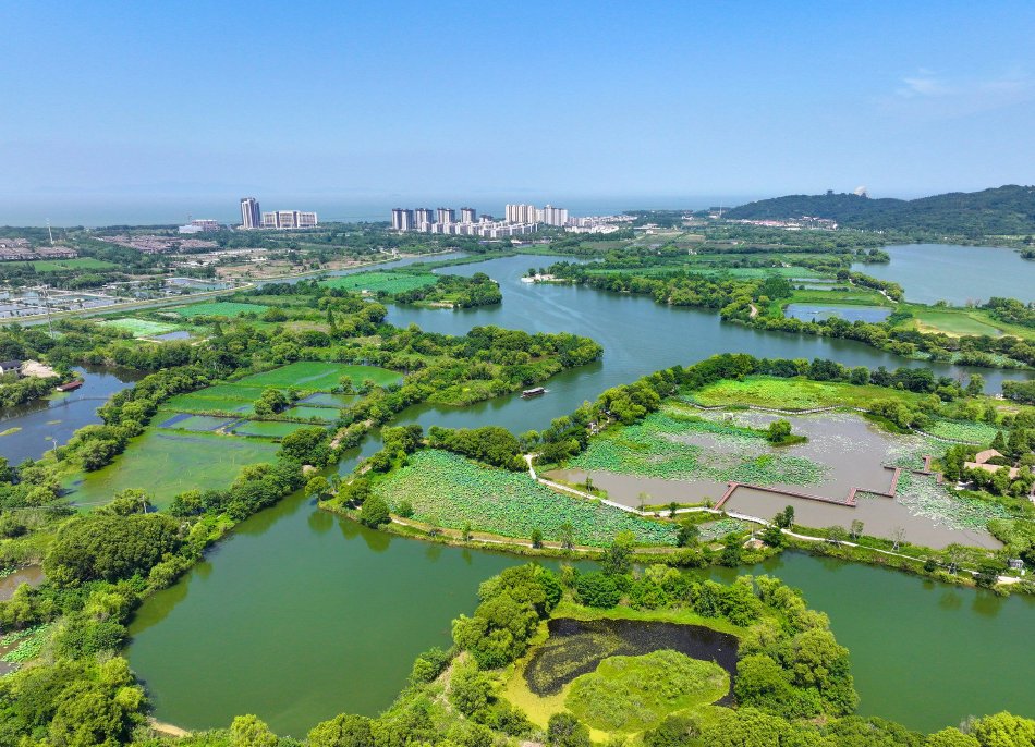 公園做愛