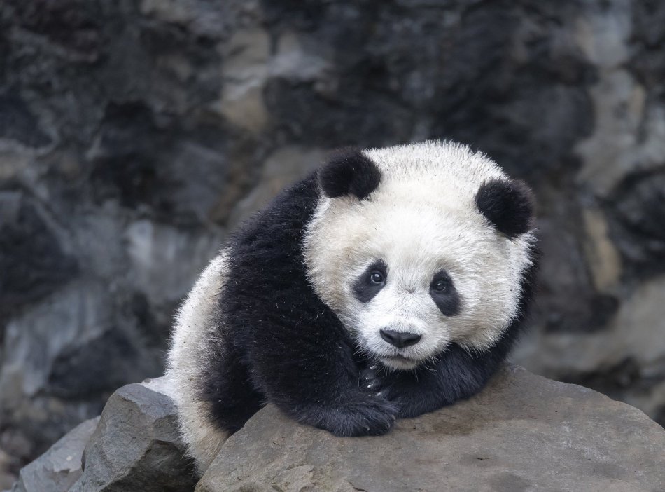 全套按摩