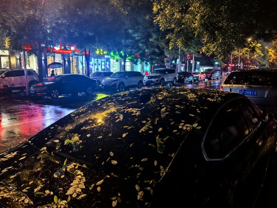 黄网站色视频