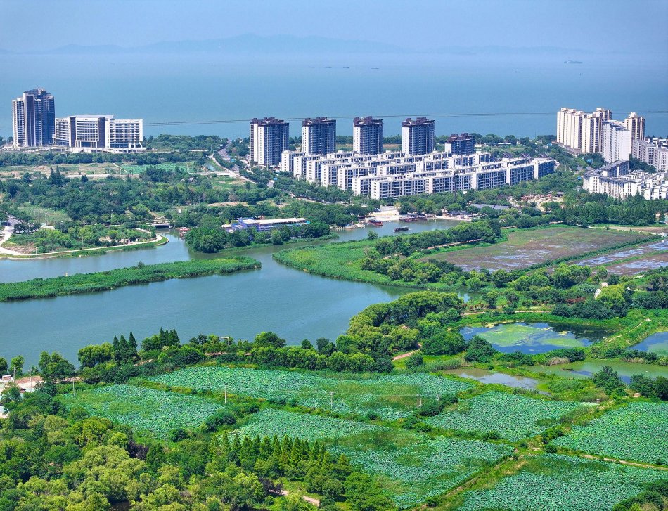 91干