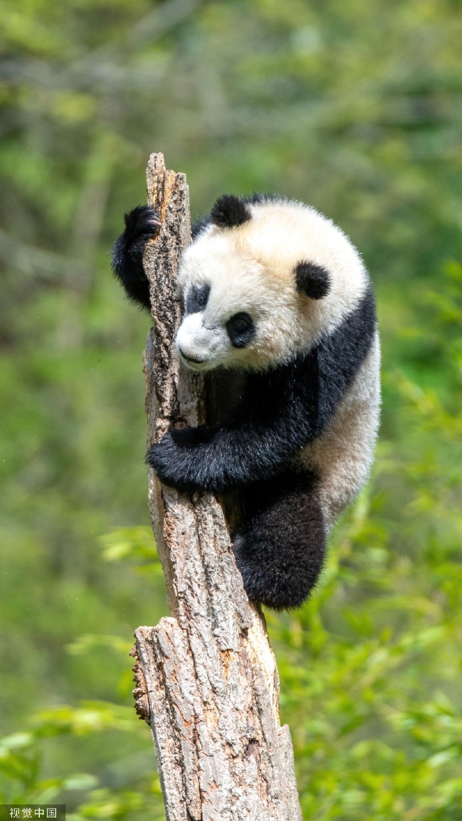成人 照片 网站
