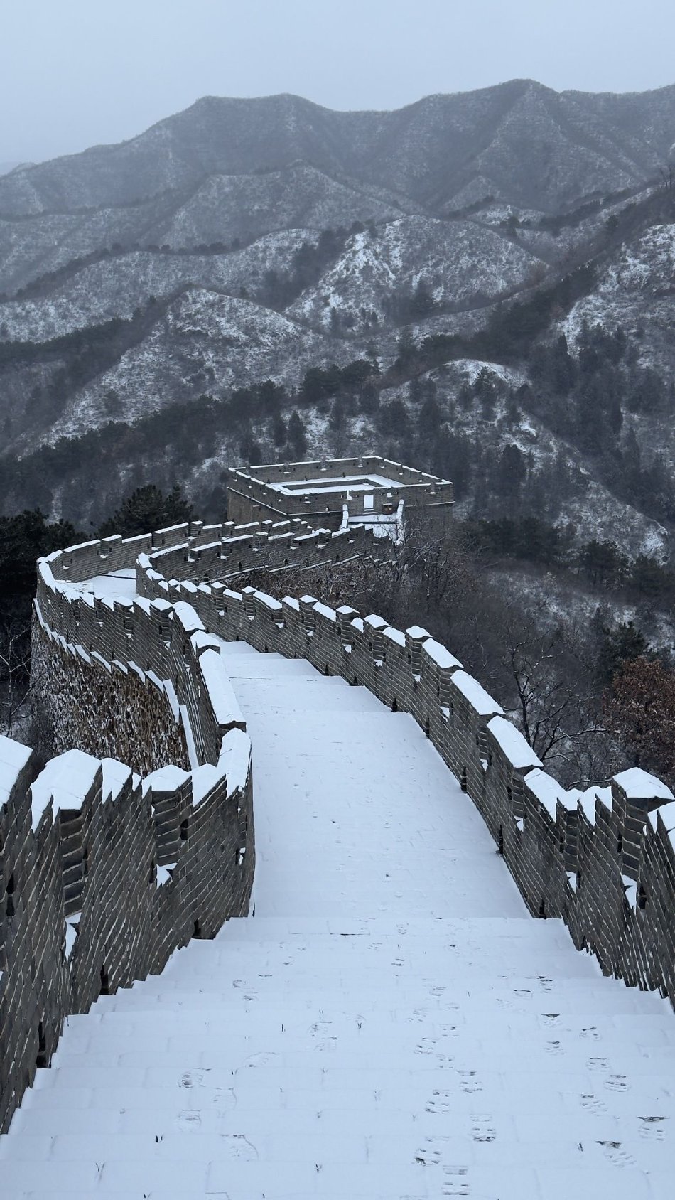 凱莉