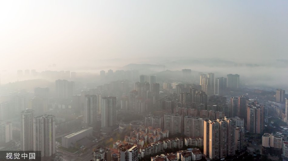 抖阴破解版下载