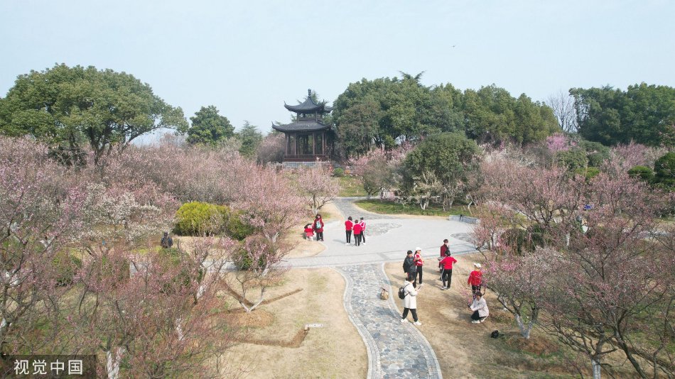 動漫自慰