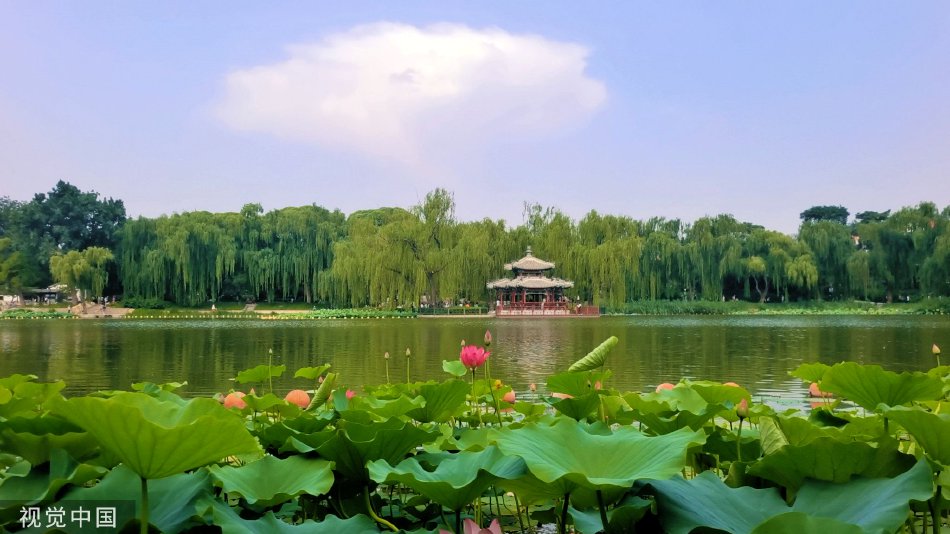 公妇乱婬ⅩXX毛片A片喜宝