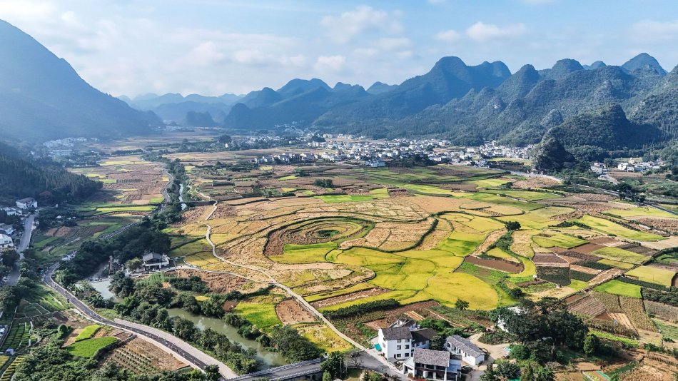 约炮交友软件