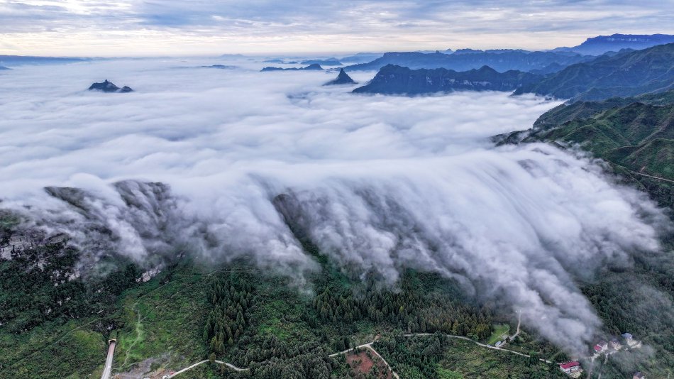 閃亮亮黃包包