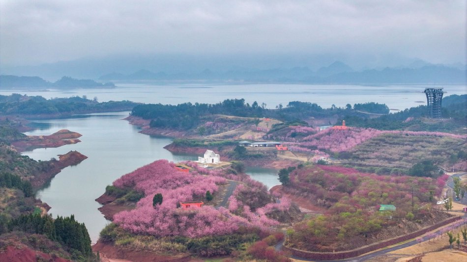 我的大胸岳牳4
