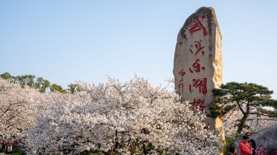 大沢美加