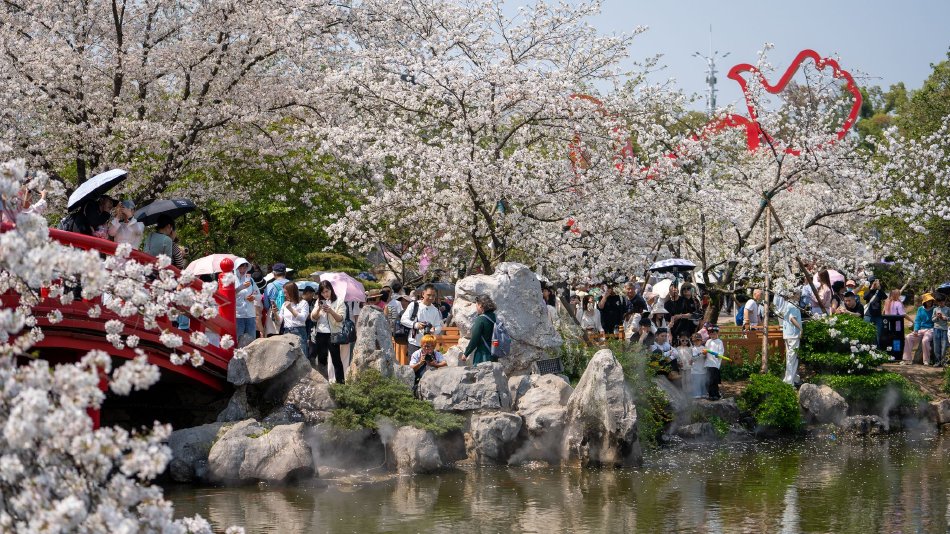 亚洲AⅤ